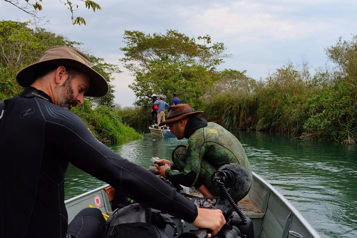 Faszinierende Tierwelt mit Coyote Peterson faszinierende tierwelt mit coyote peterson