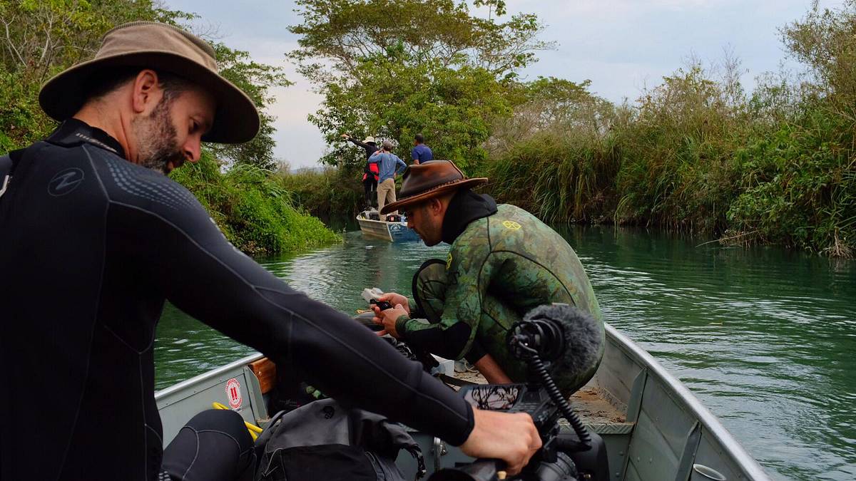 faszinierende tierwelt mit coyote peterson