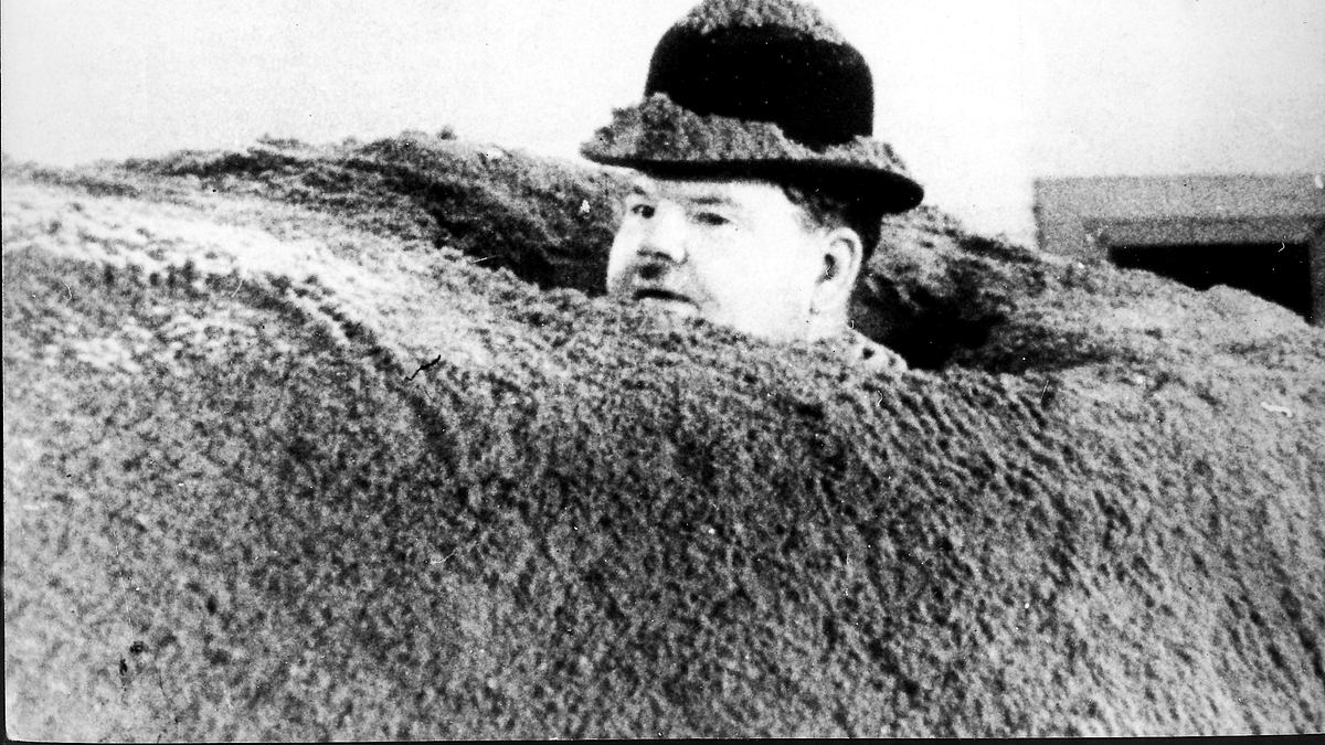 dick und doof - lange leitung