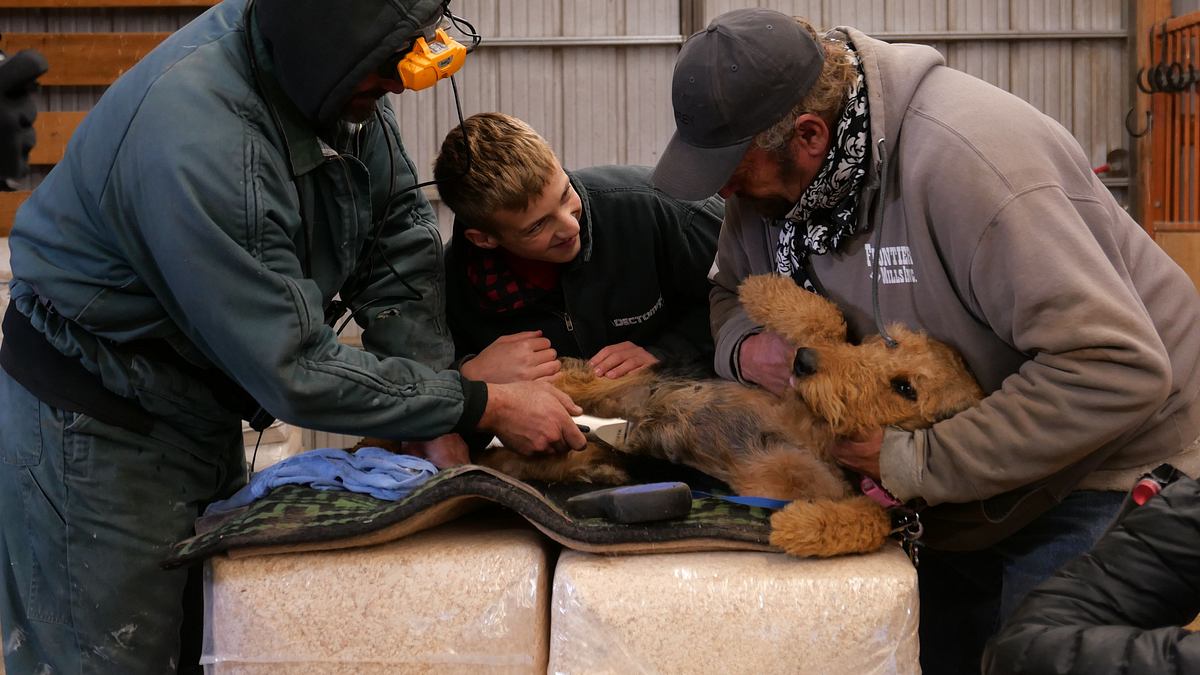 heartland docs - die tierarzt-familie