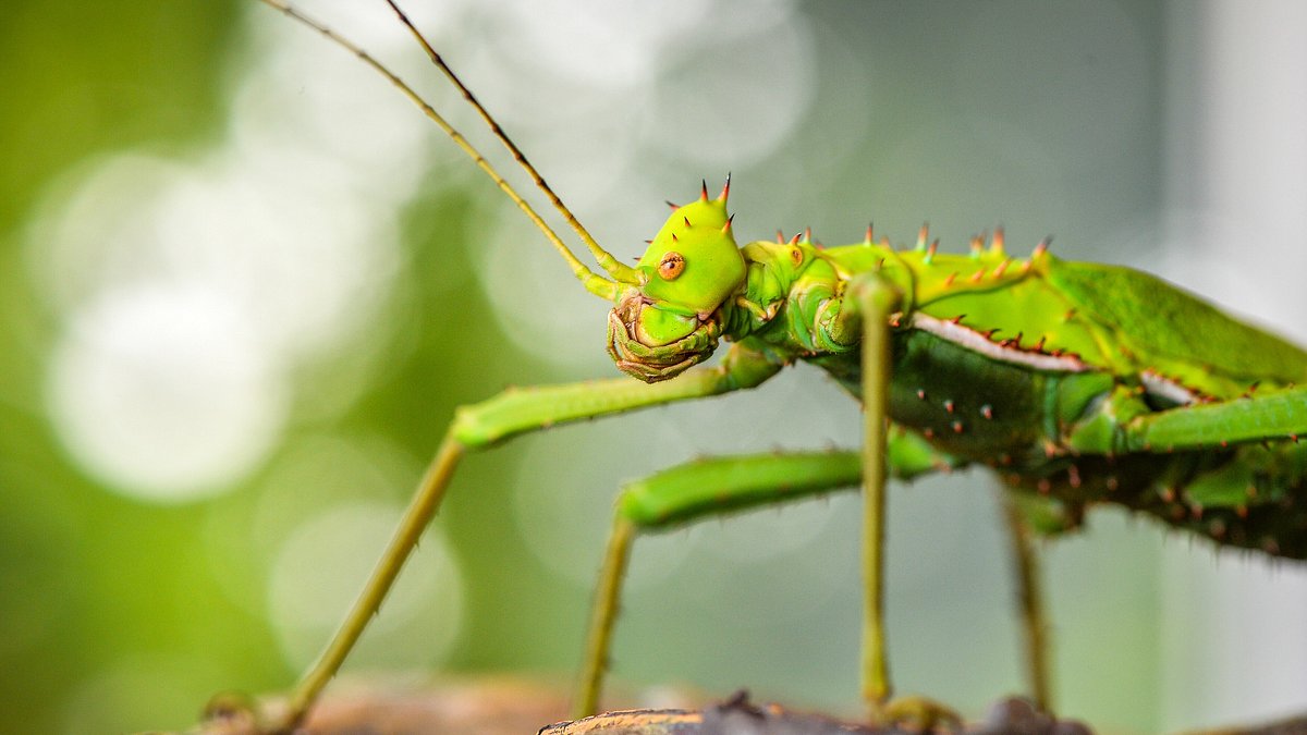 zoo und so - tierisch wild!