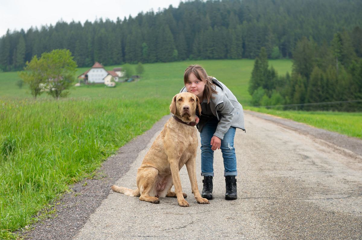 tiere bis unters dach