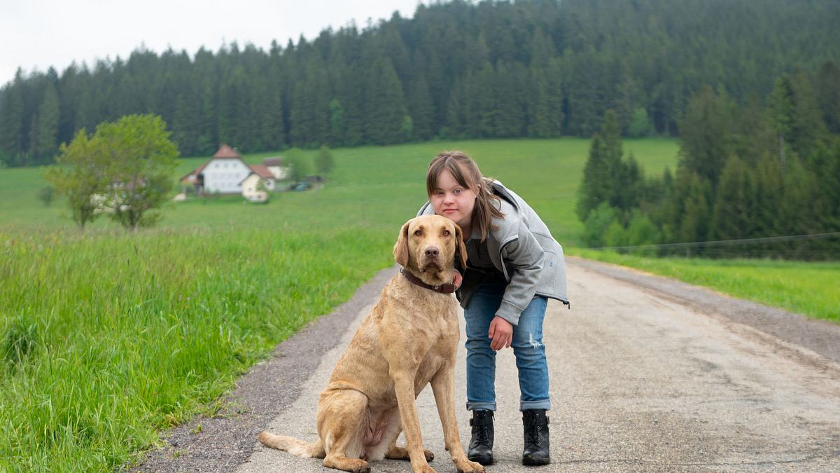 tiere bis unters dach