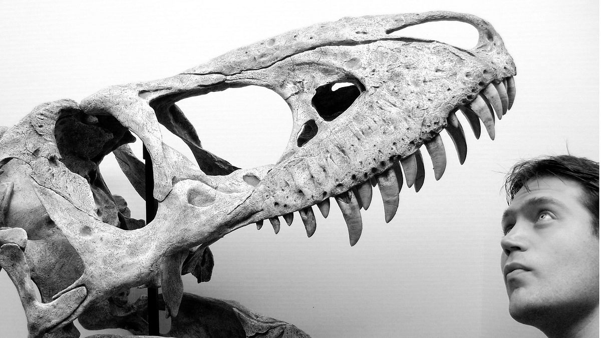 spinosaurus: der urzeit-gigant