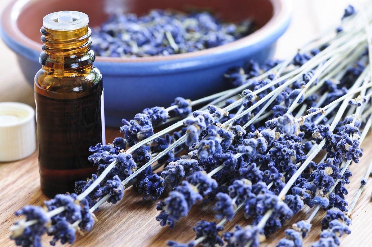 die provence mit allen sinnen erleben - lavendel, licht und lebensart