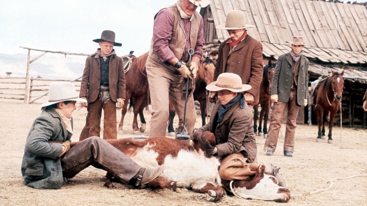 die cowboys
