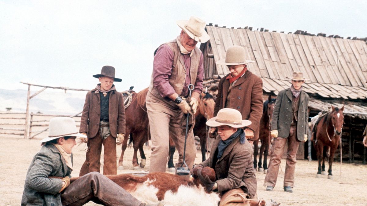 die cowboys