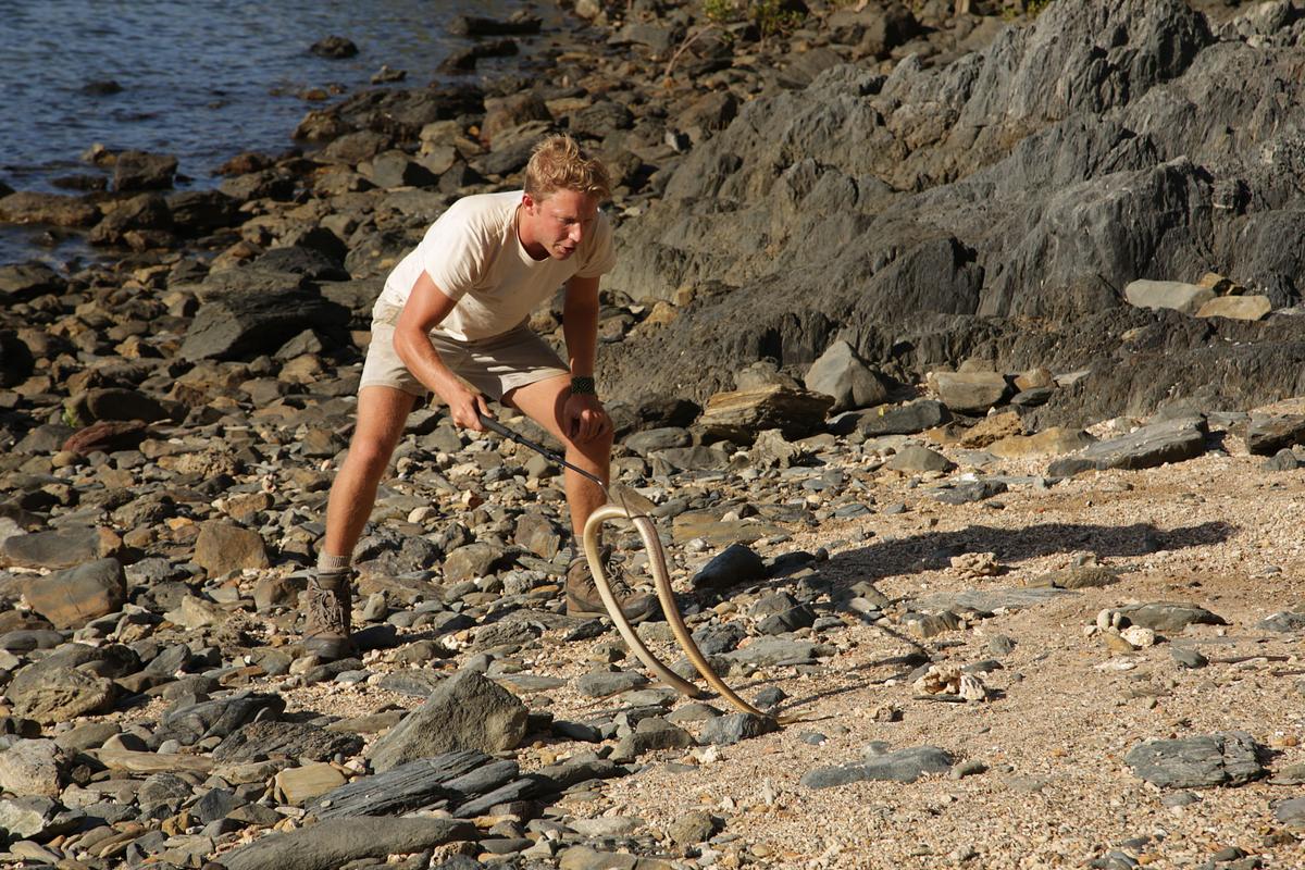 Auf in die Wildnis mit Jack Randall auf in die wildnis mit jack randall