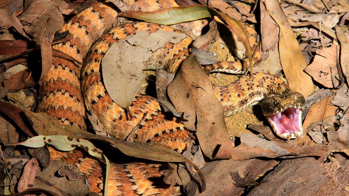 abenteuer wildnis