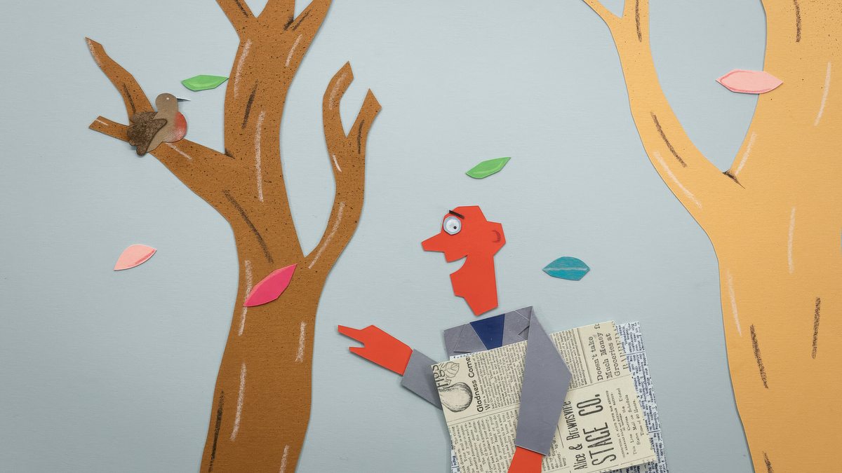 mister paper