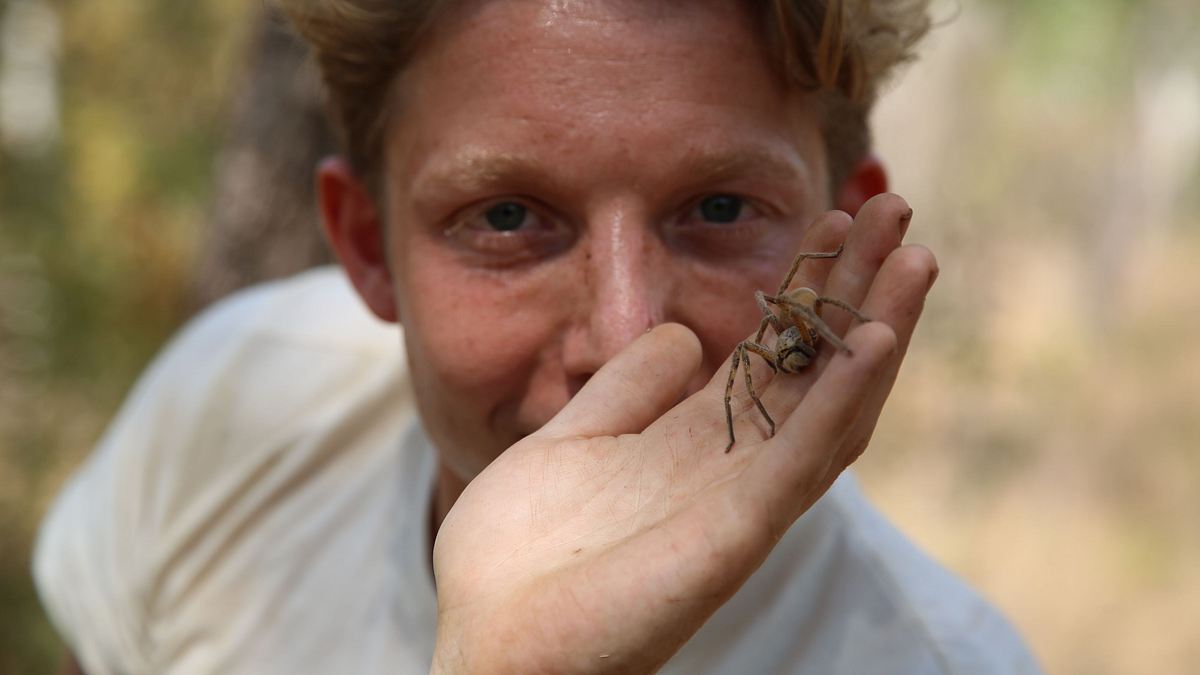 auf in die wildnis mit jack randall
