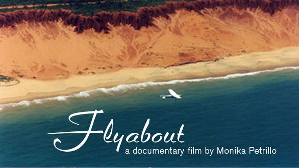 Flyabout