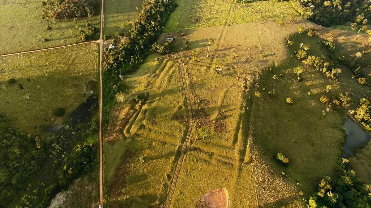verborgen im dschungel - geheimnisse aus der vergangenheit