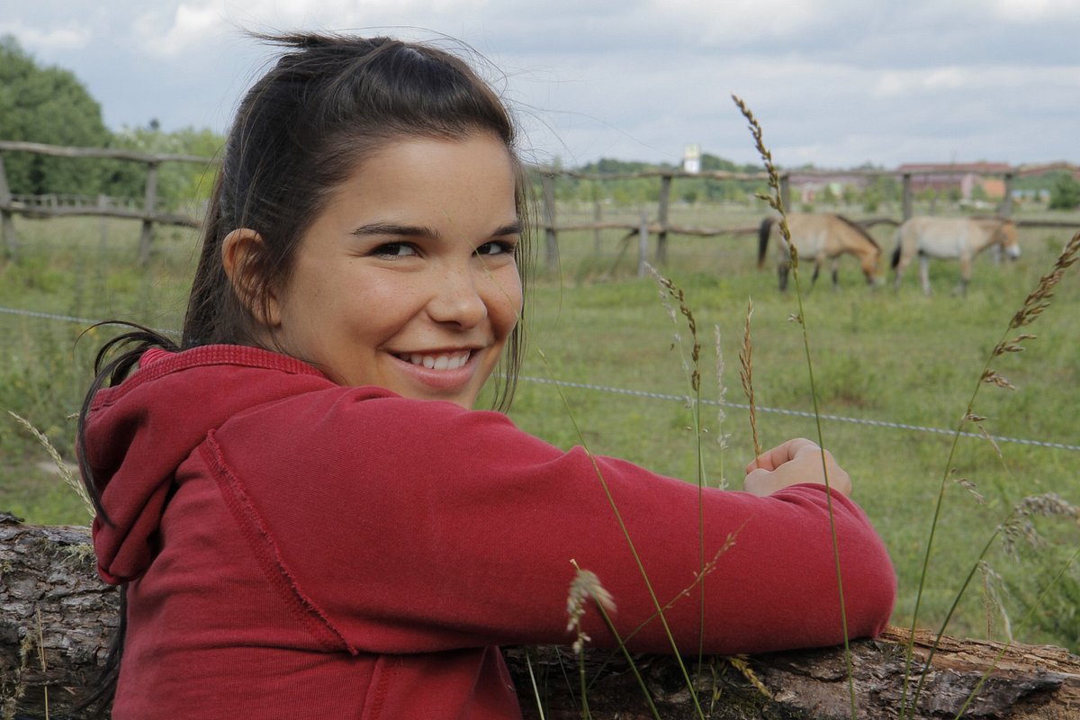 Anna und die wilden Tiere anna und die wilden tiere