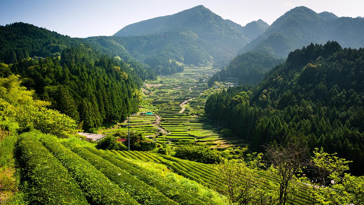 wildes japan - land der tausend inseln