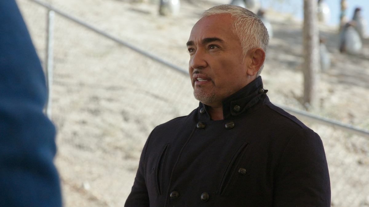 cesar millan: guter mensch, guter hund