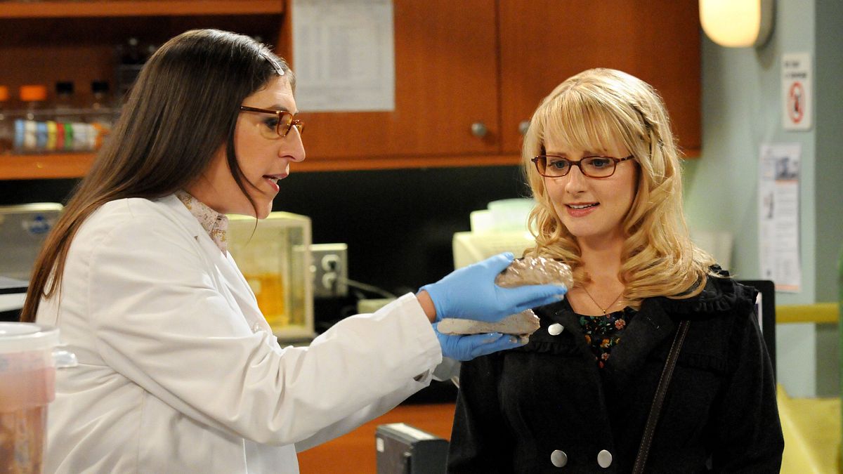 the big bang theory