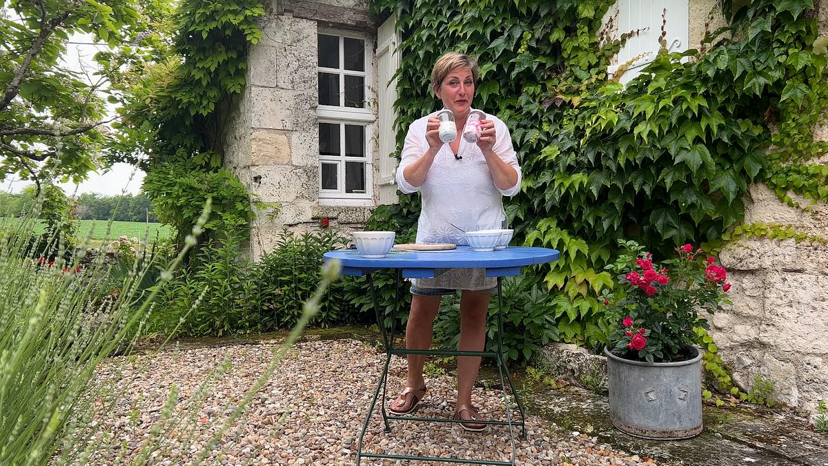 veggies united - die food korrespondenten
