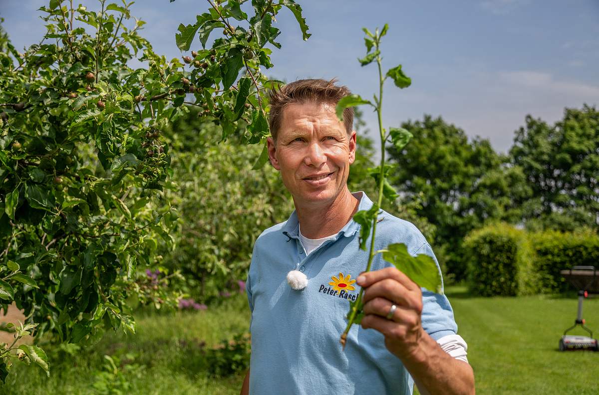 Rasch durch den Garten rasch durch den garten