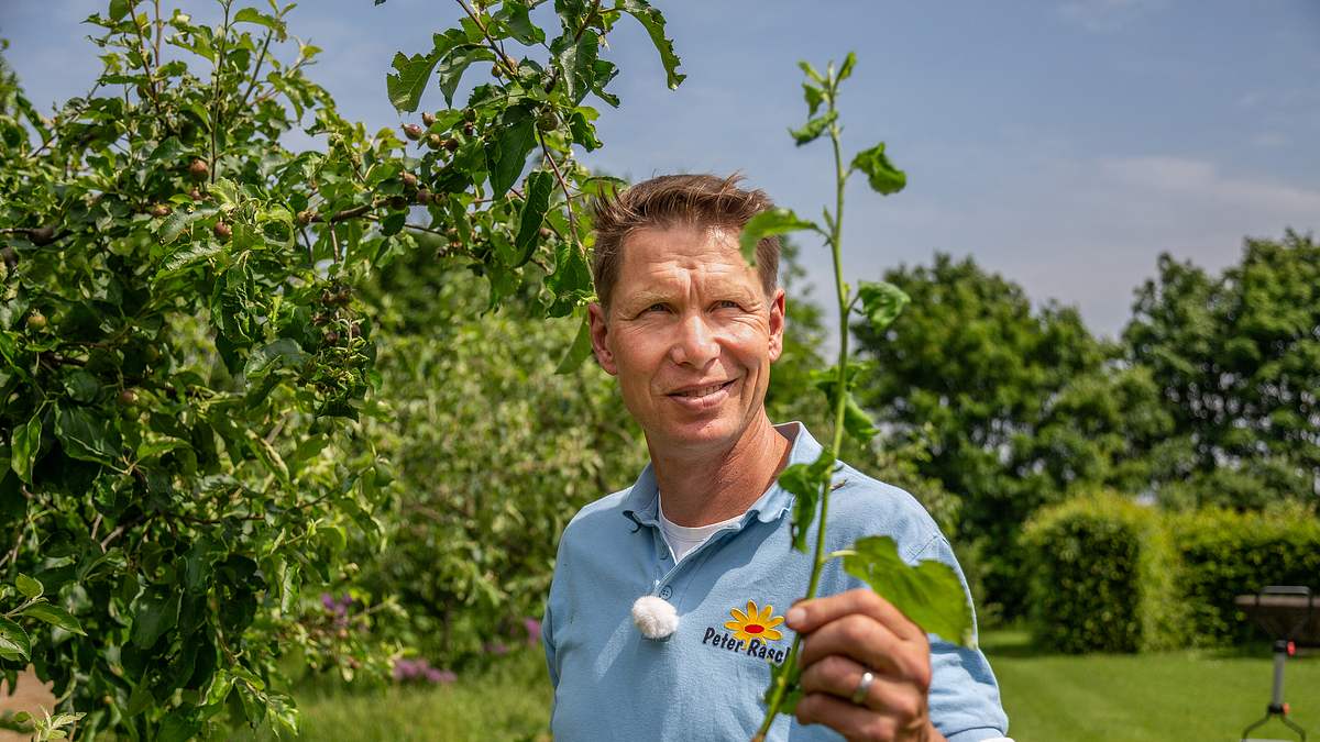 rasch durch den garten