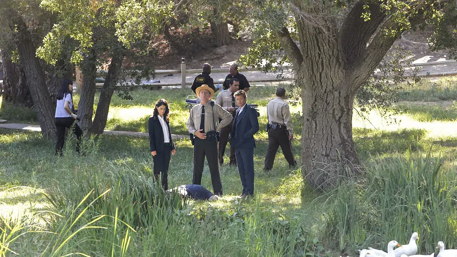 the mentalist