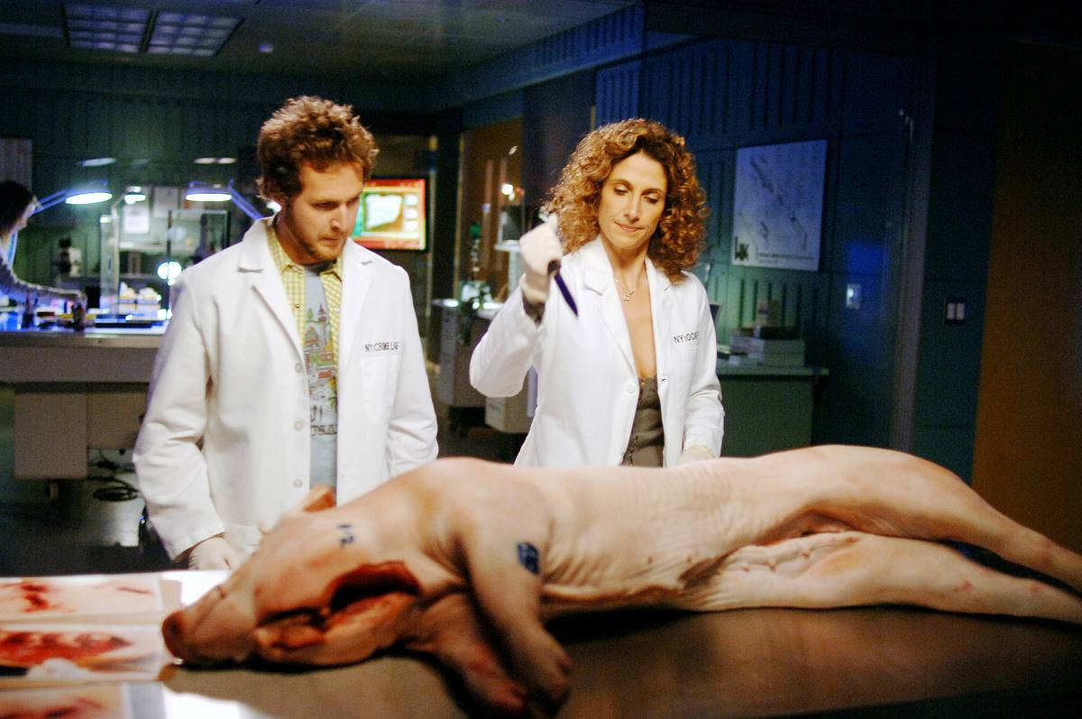 csi: ny