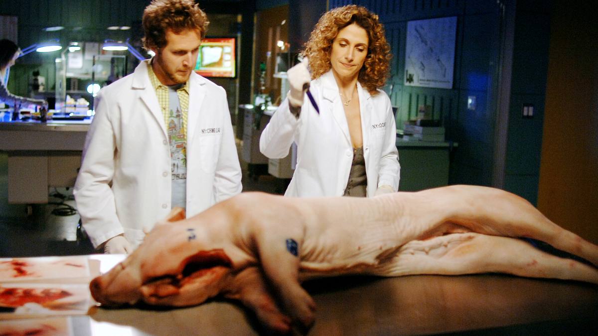 csi: ny