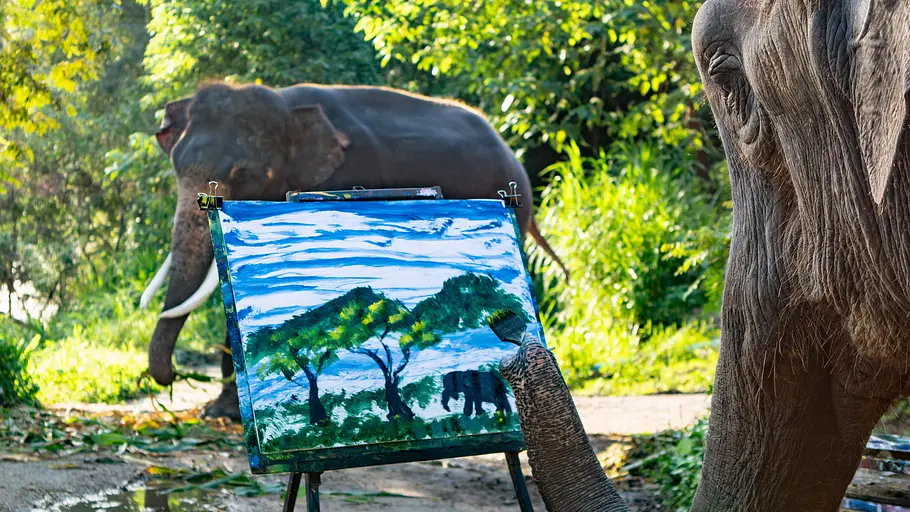 wilde kunst