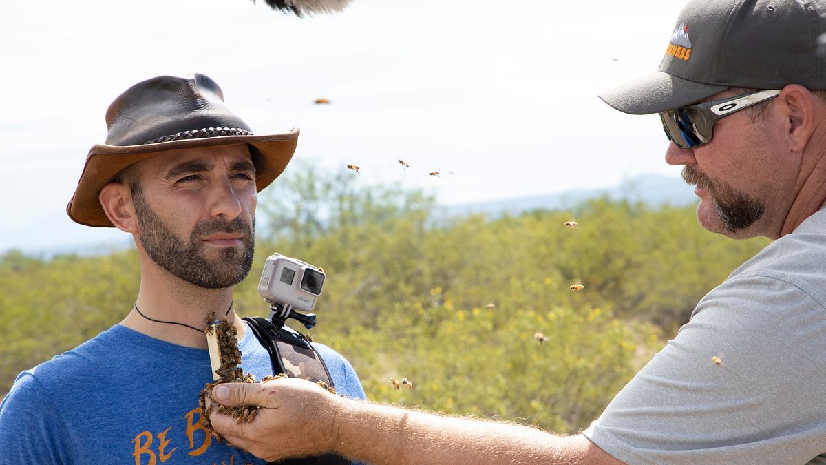 faszinierende tierwelt mit coyote peterson