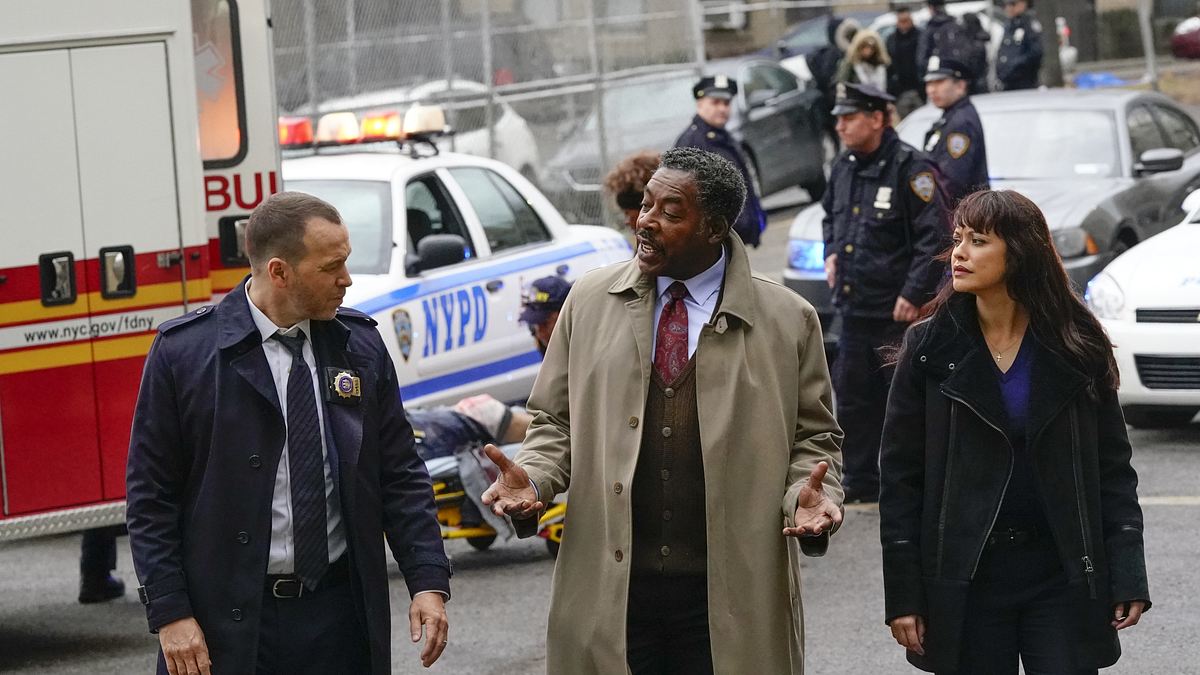 blue bloods - crime scene new york