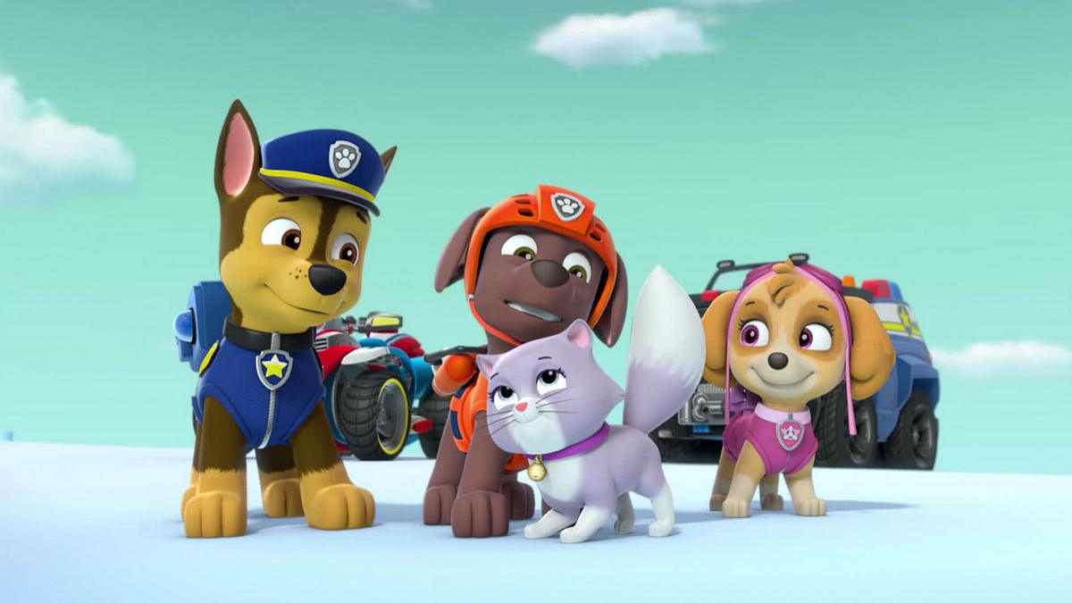 paw patrol - helfer auf vier pfoten