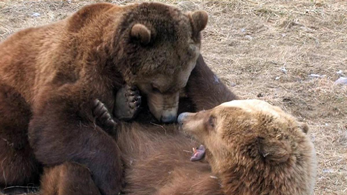 Welt der Tiere welt der tiere