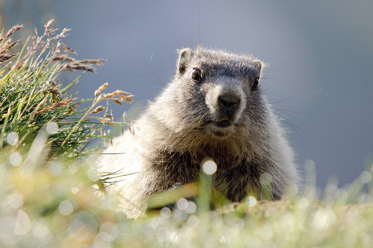 abenteuer wildnis