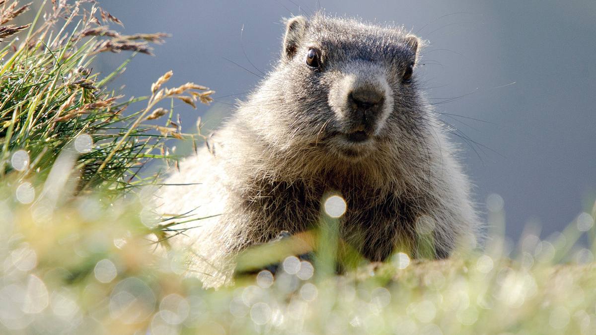 abenteuer wildnis