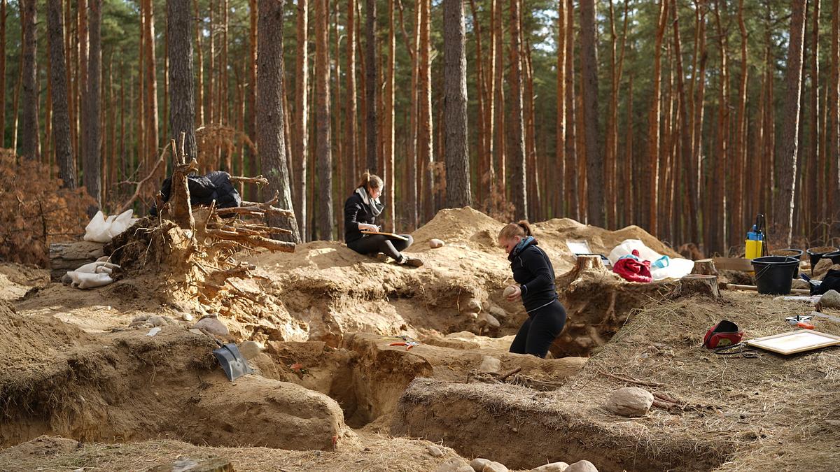 zdf-history