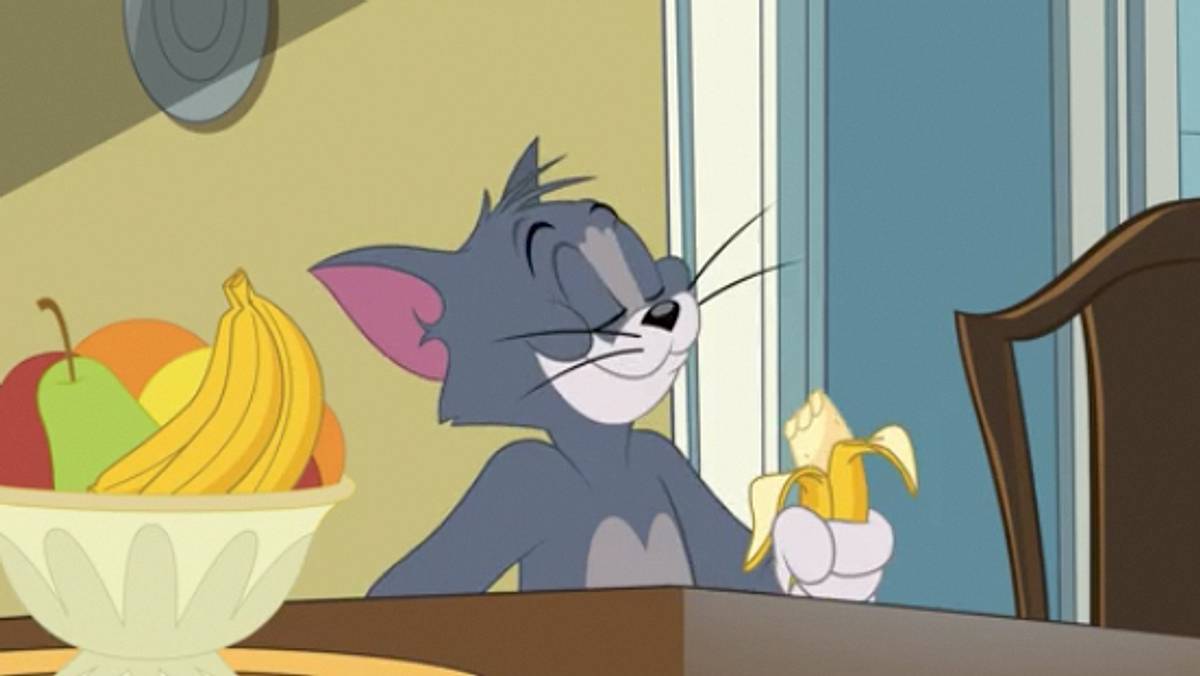 die tom und jerry show