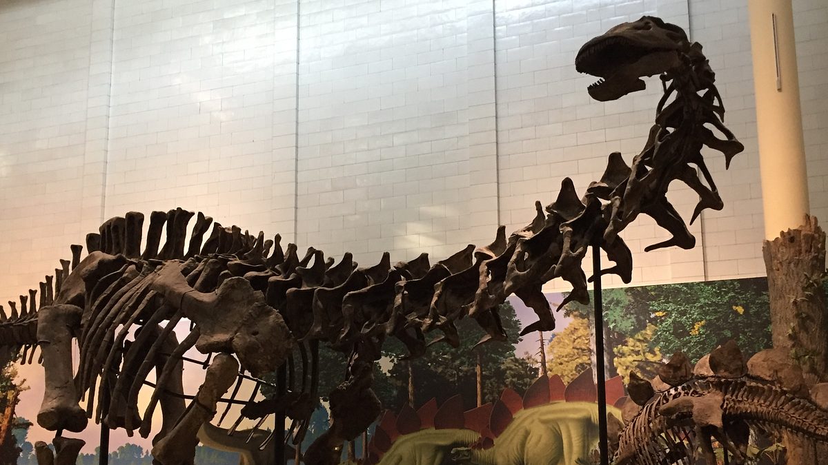mysterien im museum