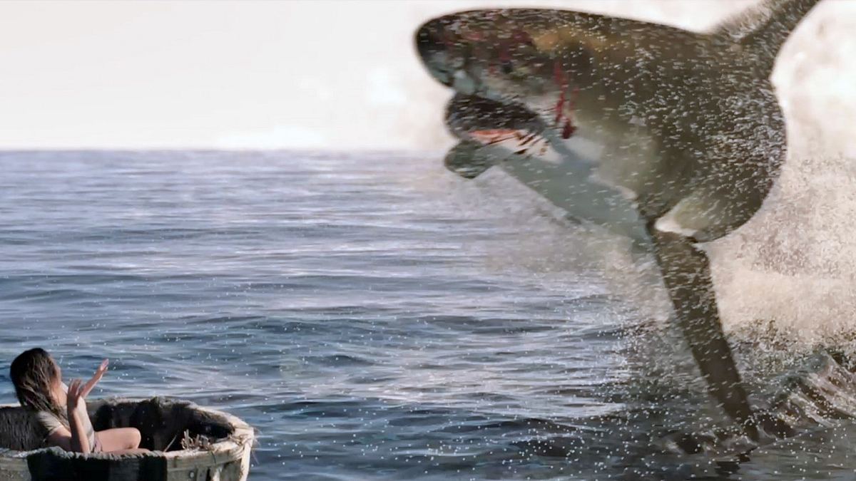 the requin - der hai