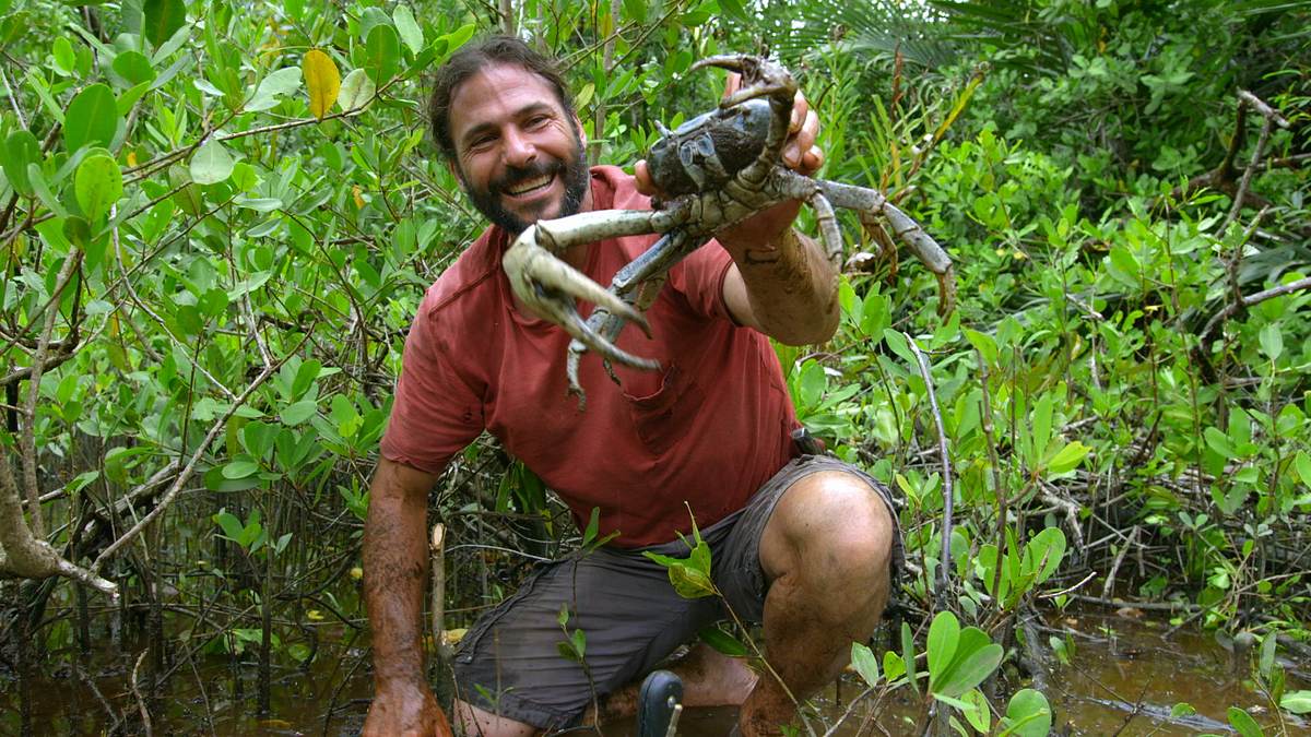 Extreme Survival mit Hazen Audel: Wettlauf durch den Amazonas extreme survival mit hazen audel: wettlauf durch den amazonas