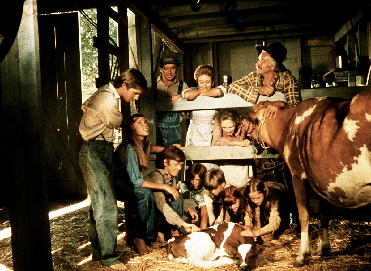 die waltons