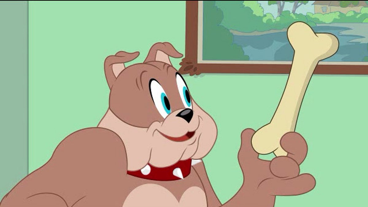 die tom und jerry show