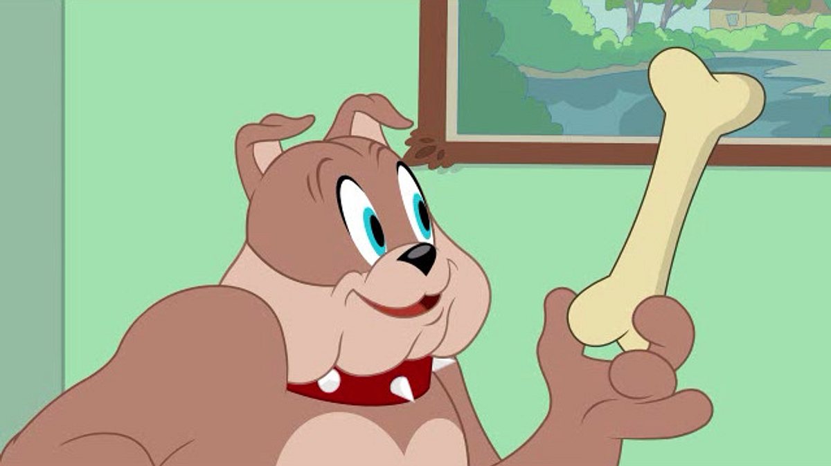 die tom und jerry show