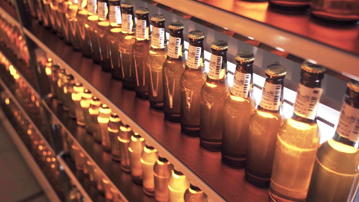 bier - die welt des brauens