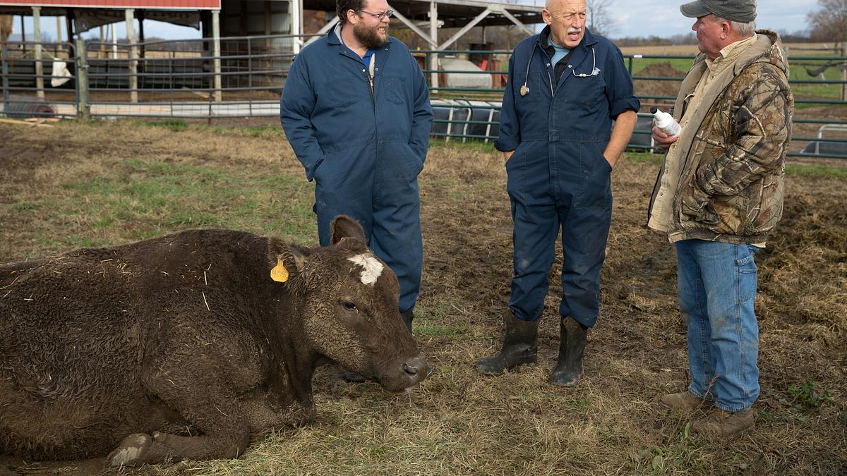 der unglaubliche dr. pol