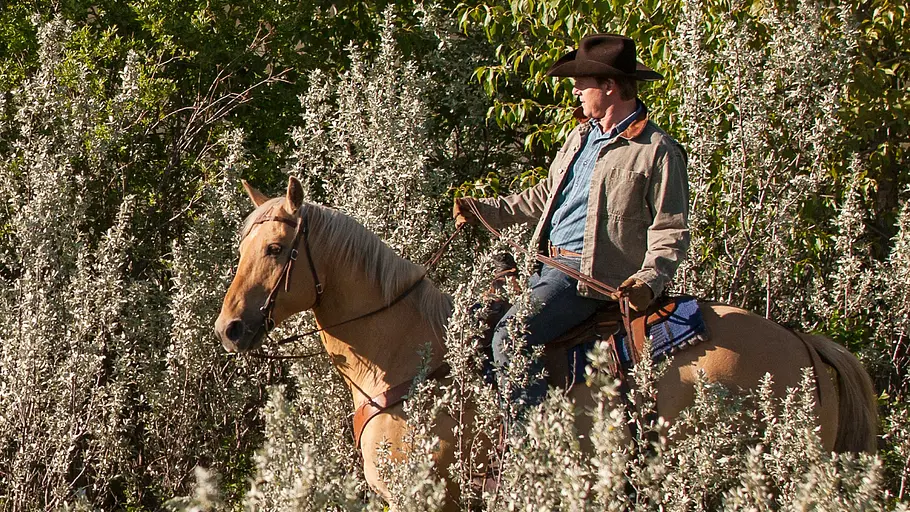 Heartland - Paradies für Pferde heartland - paradies für pferde