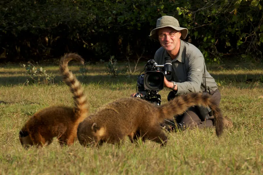 Wildes Brasilien wildes brasilien