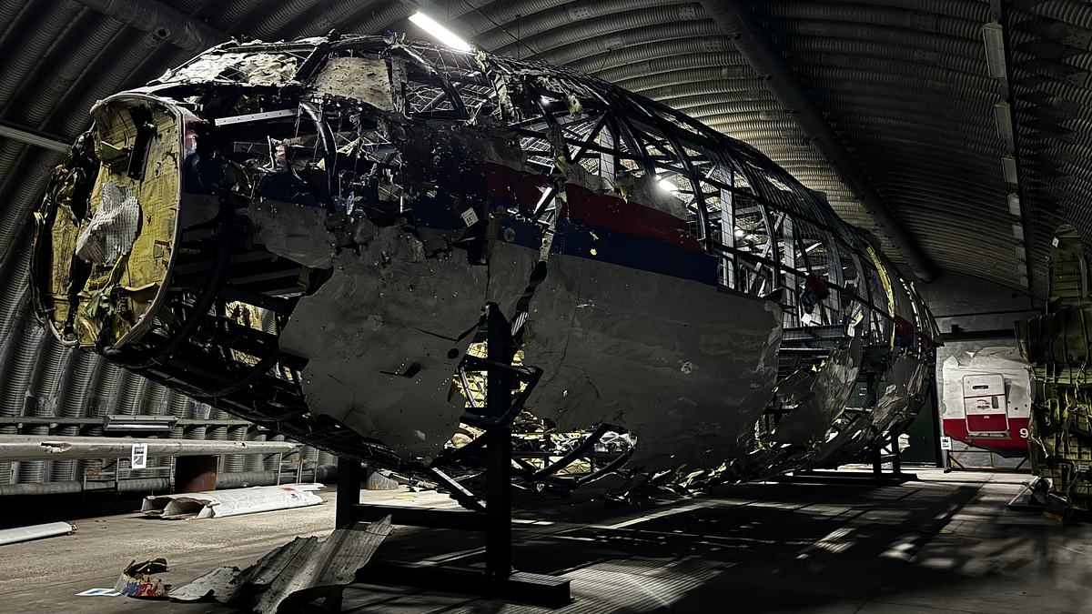 mord am himmel: wer hat flug mh17 abgeschossen?