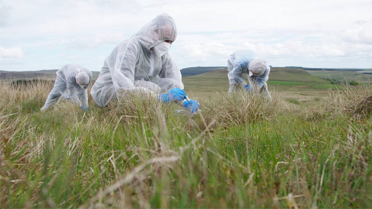 expert witness - forensiker auf spurensuche
