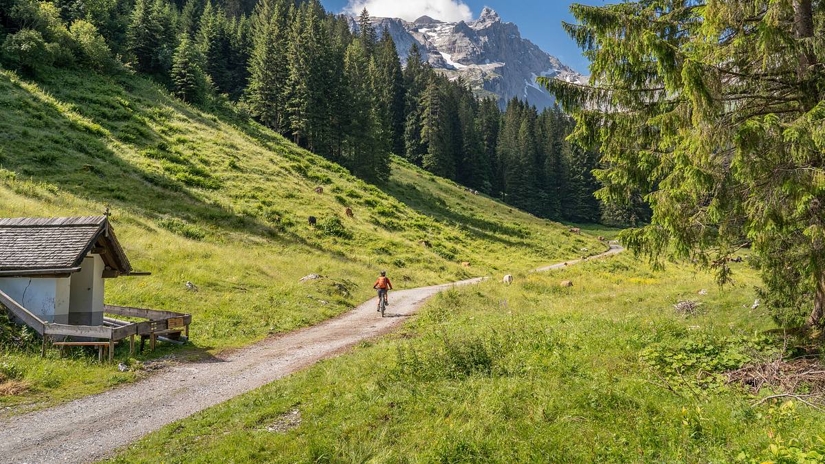 anixe auf reisen