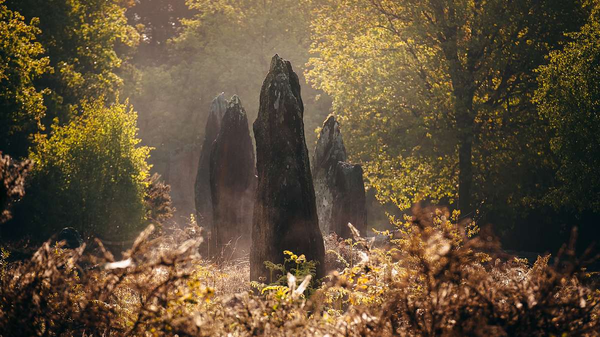 ancient aliens - unerklärliche phänomene